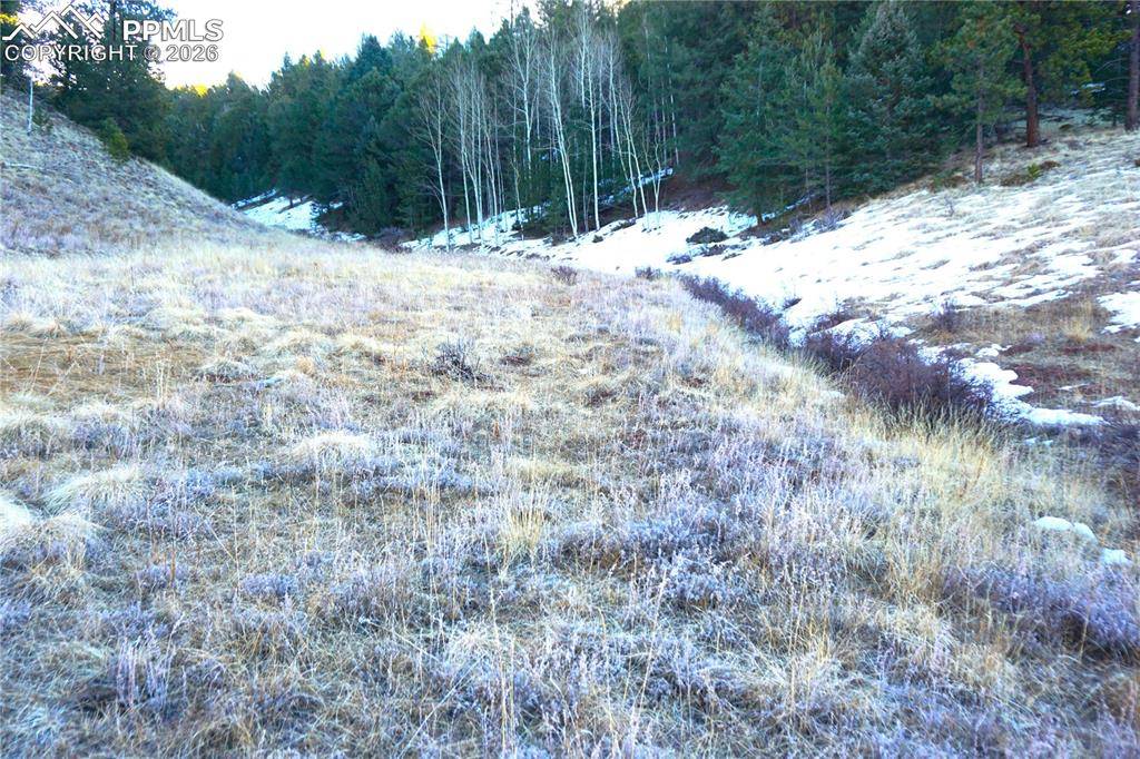 Divide, CO 80814,637 Valley RD