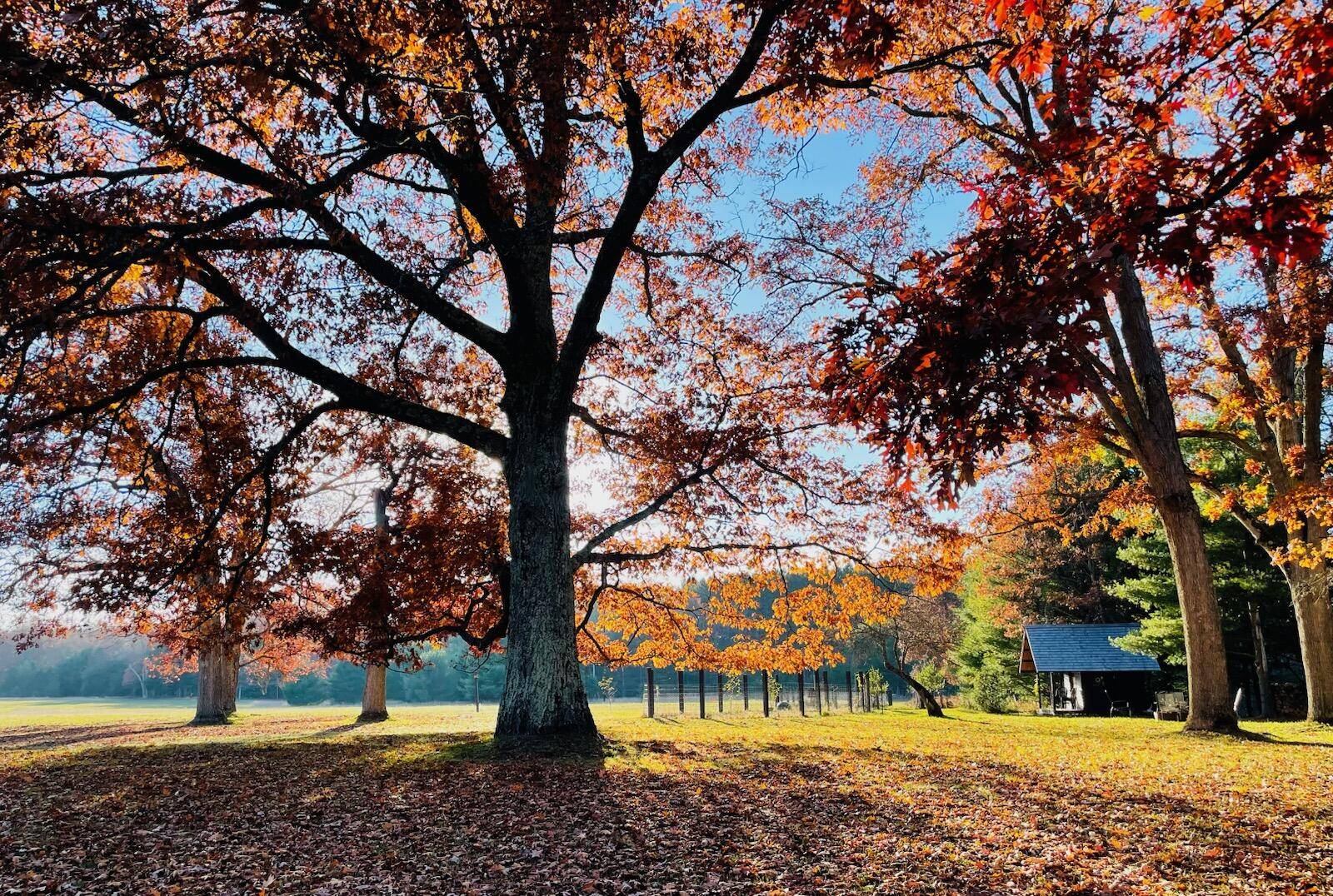 Irons, MI 49644,10652 N River RD