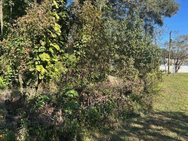 Lakeland, FL 33811,0 Maple Hill Ct