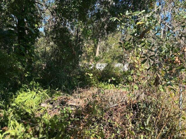 Lakeland, FL 33811,0 Maple Hill Ct