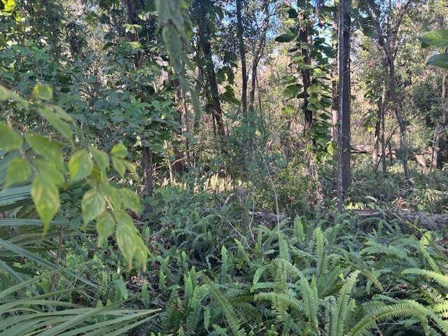 Lakeland, FL 33811,0 Maple Hill Ct