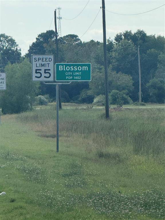 Blossom, TX 75416,TBD E 82 Highway E