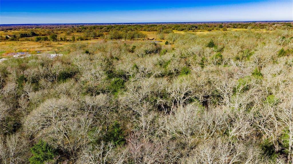 Seven Points, TX 75143,12200 CR 2404