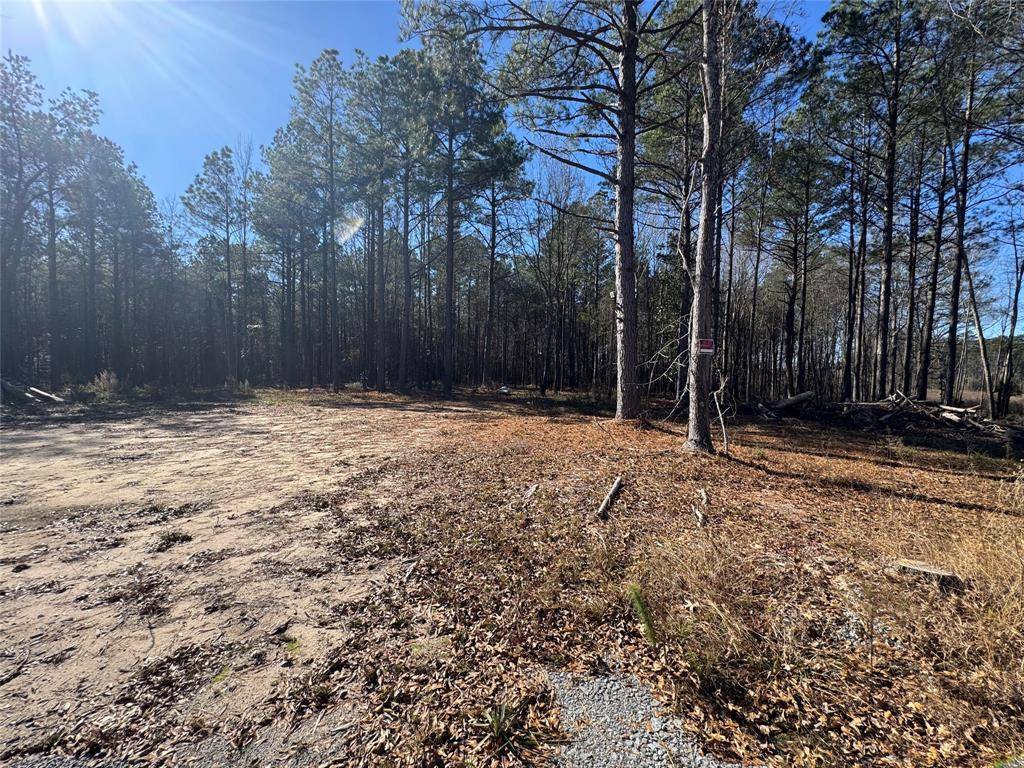 Haynesville, LA 71038,155 Triplet Rd