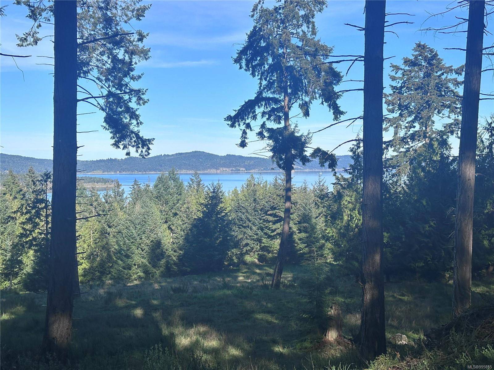 Salt Spring, BC V8K 1A6,141 Blue Stone Dr