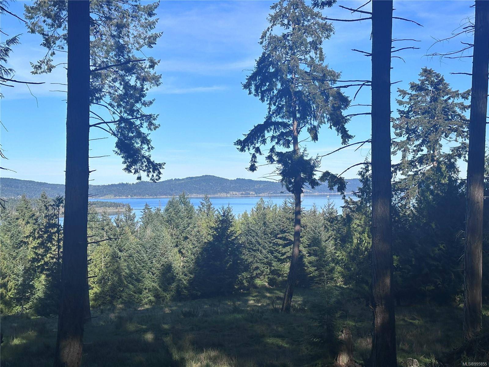 Salt Spring, BC V8K 1A6,141 Blue Stone Dr