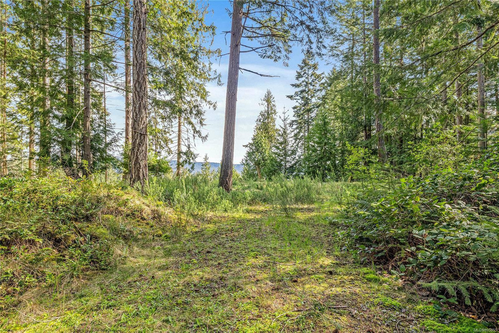 Salt Spring, BC V8K 1A6,141 Blue Stone Dr