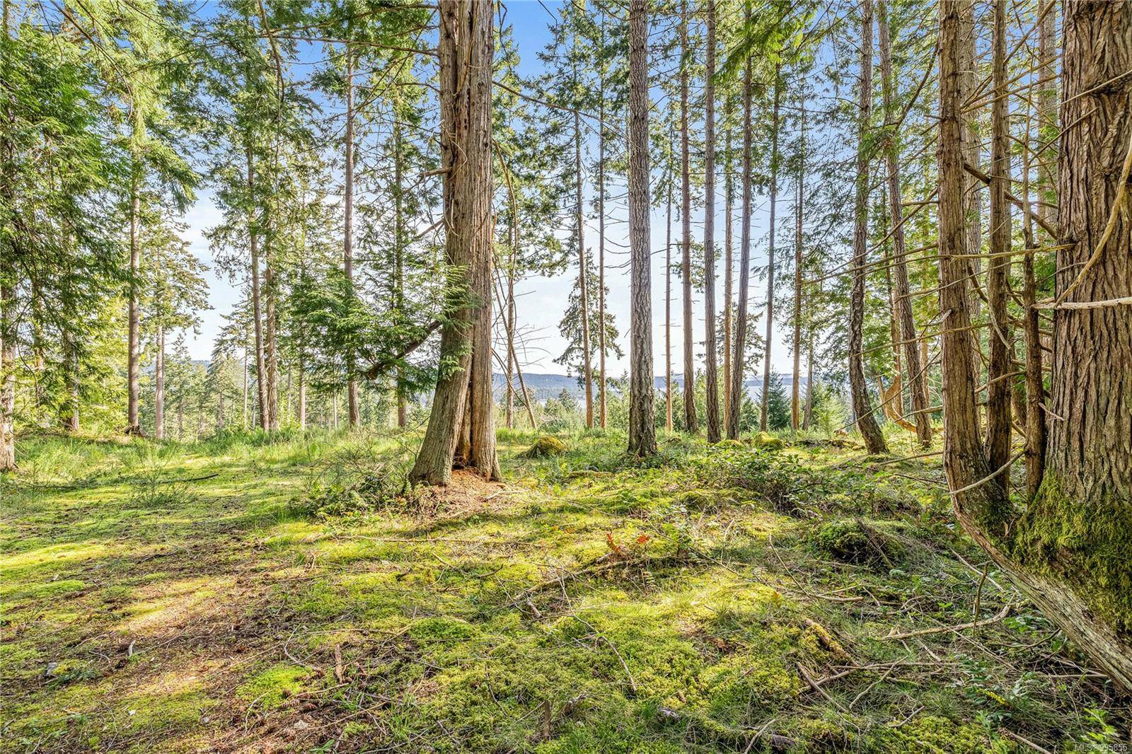 Salt Spring, BC V8K 1A6,141 Blue Stone Dr