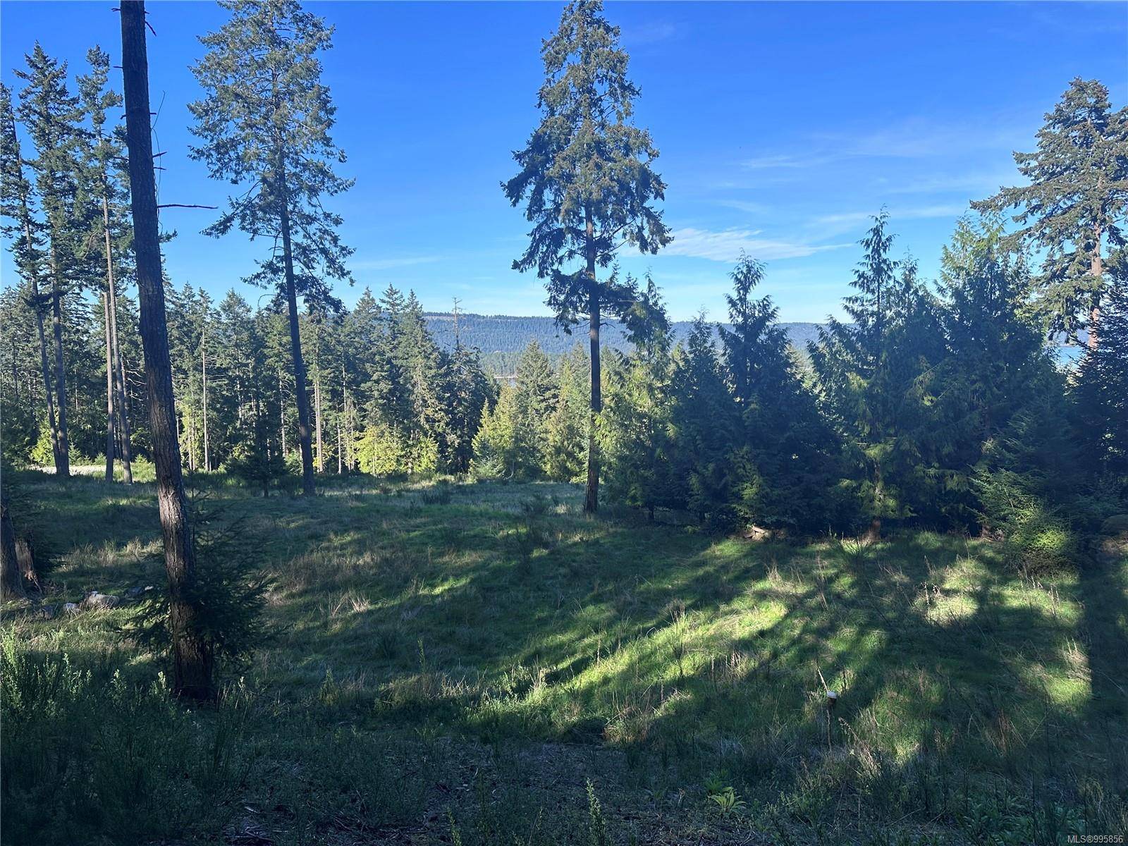 Salt Spring, BC V8K 1A6,143 Blue Stone Dr