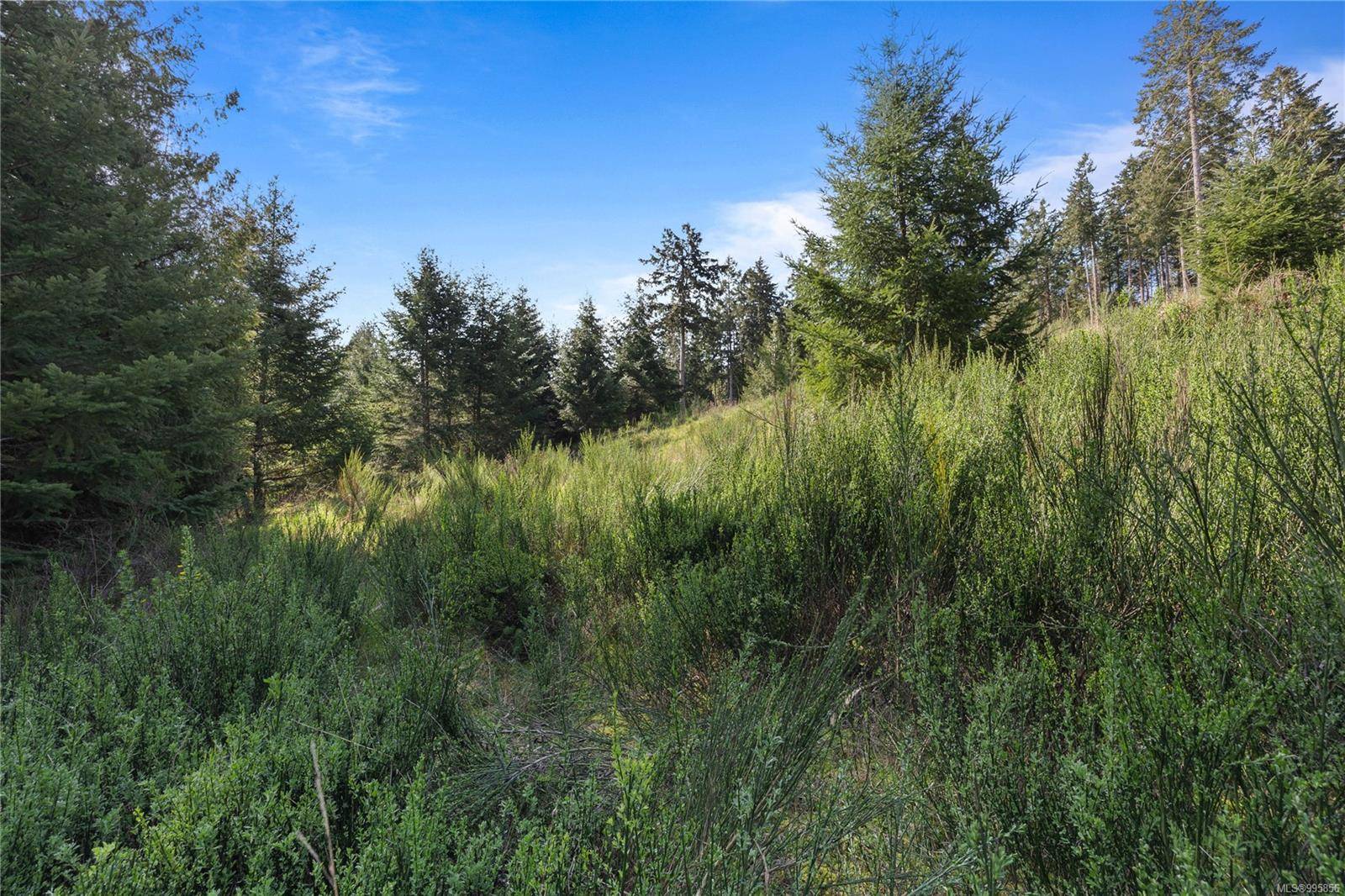 Salt Spring, BC V8K 1A6,143 Blue Stone Dr