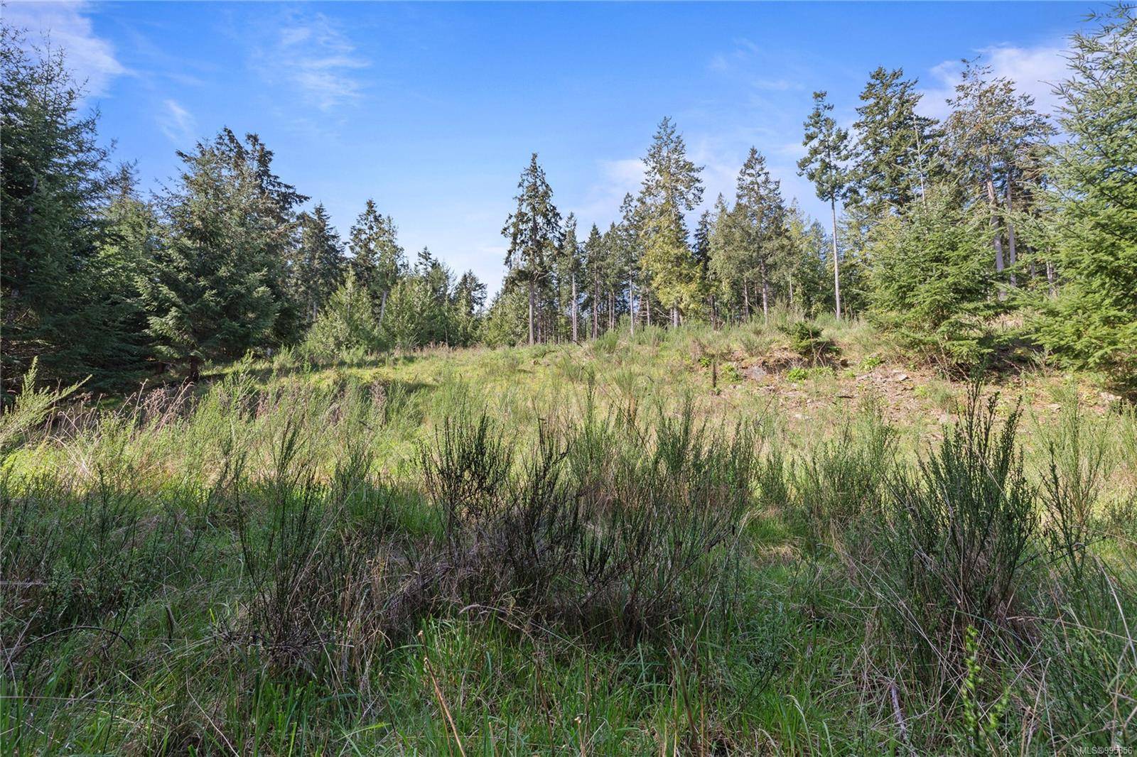 Salt Spring, BC V8K 1A6,143 Blue Stone Dr