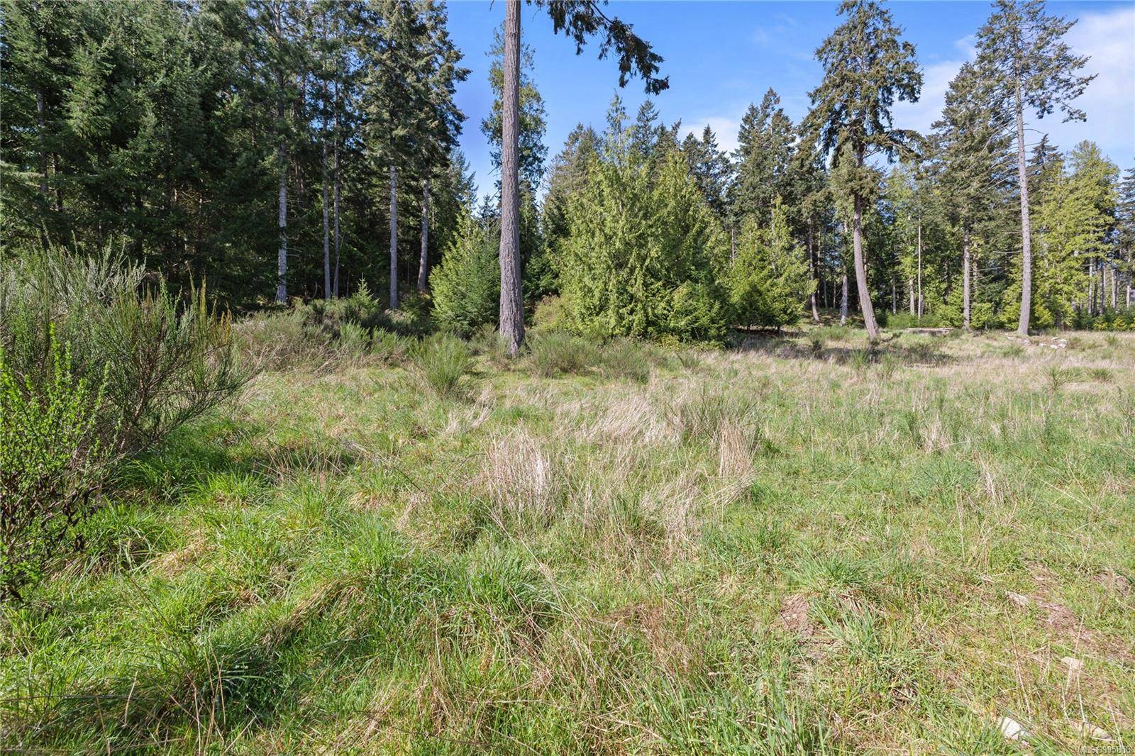 Salt Spring, BC V8K 1A6,143 Blue Stone Dr