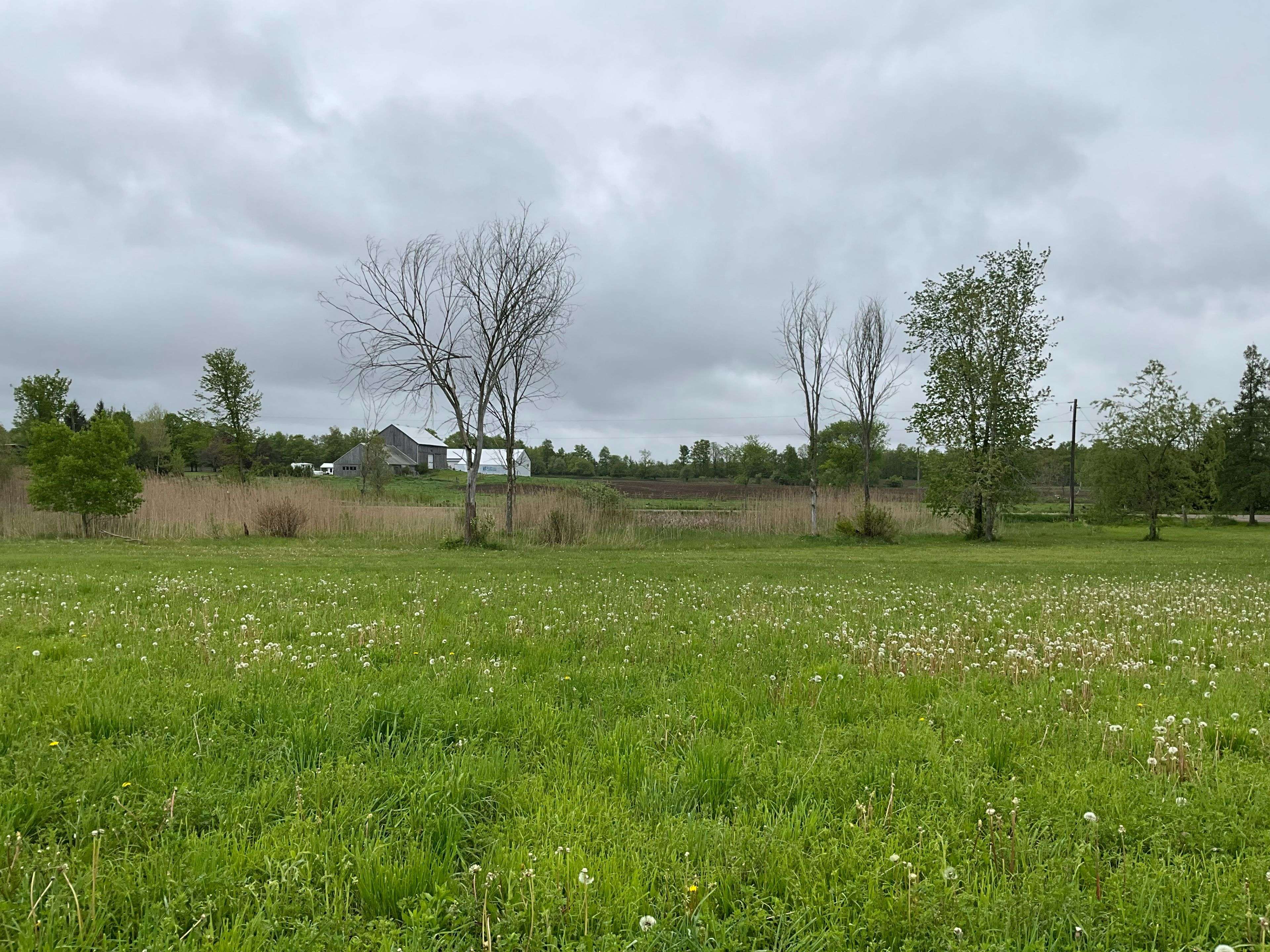 Erin, ON N0B 2K0,5169 First Line