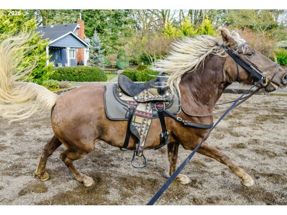 Junction City, OR 97448,24618 HIGHWAY 99