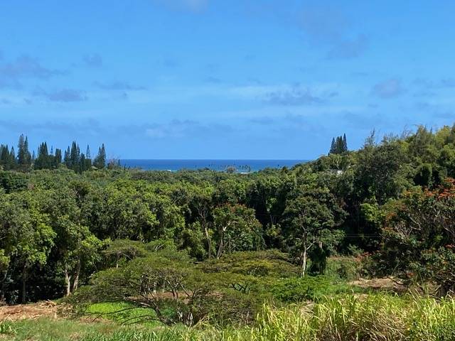 Kapaa, HI 96746,KANAELE RD