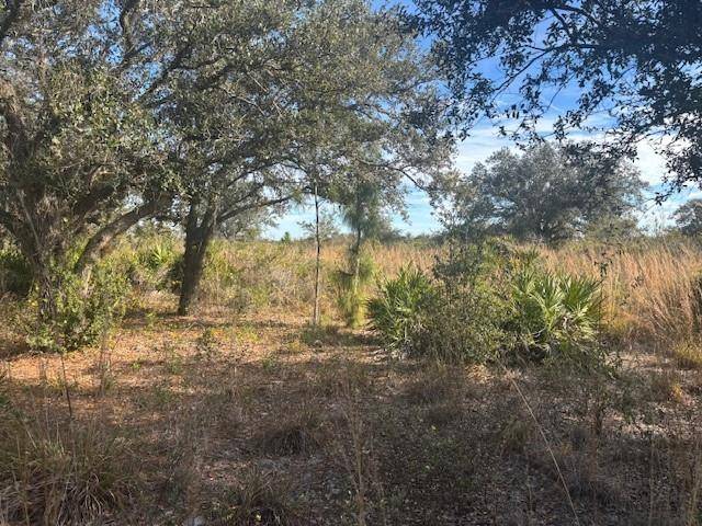 Okeechobee, FL 34972,20787 NW 244th St