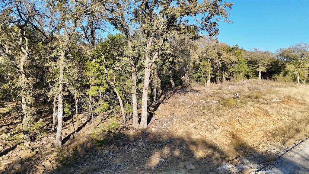 Mineral Wells, TX 76067,124 Wooded Acres Drive