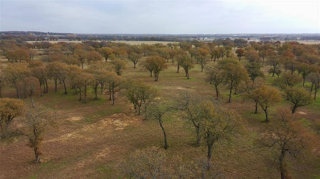 Millsap, TX 76066,1551 Wilson Bend Road