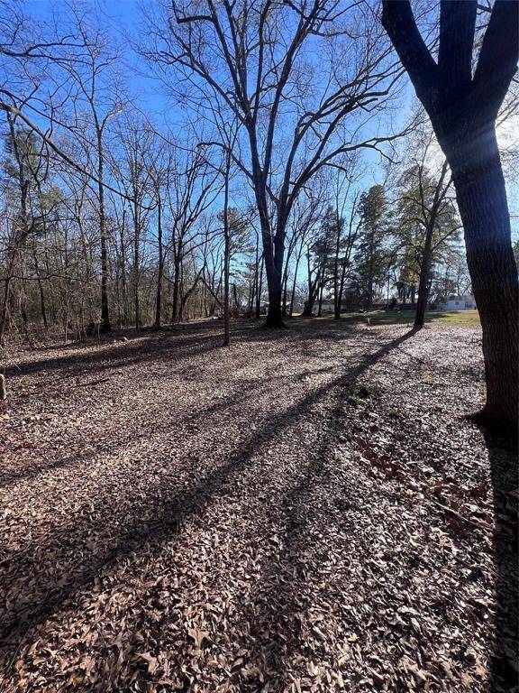 Mount Pleasant, TX 75455,TBD Quail Run