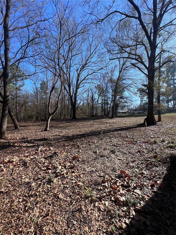 Mount Pleasant, TX 75455,TBD Quail Run