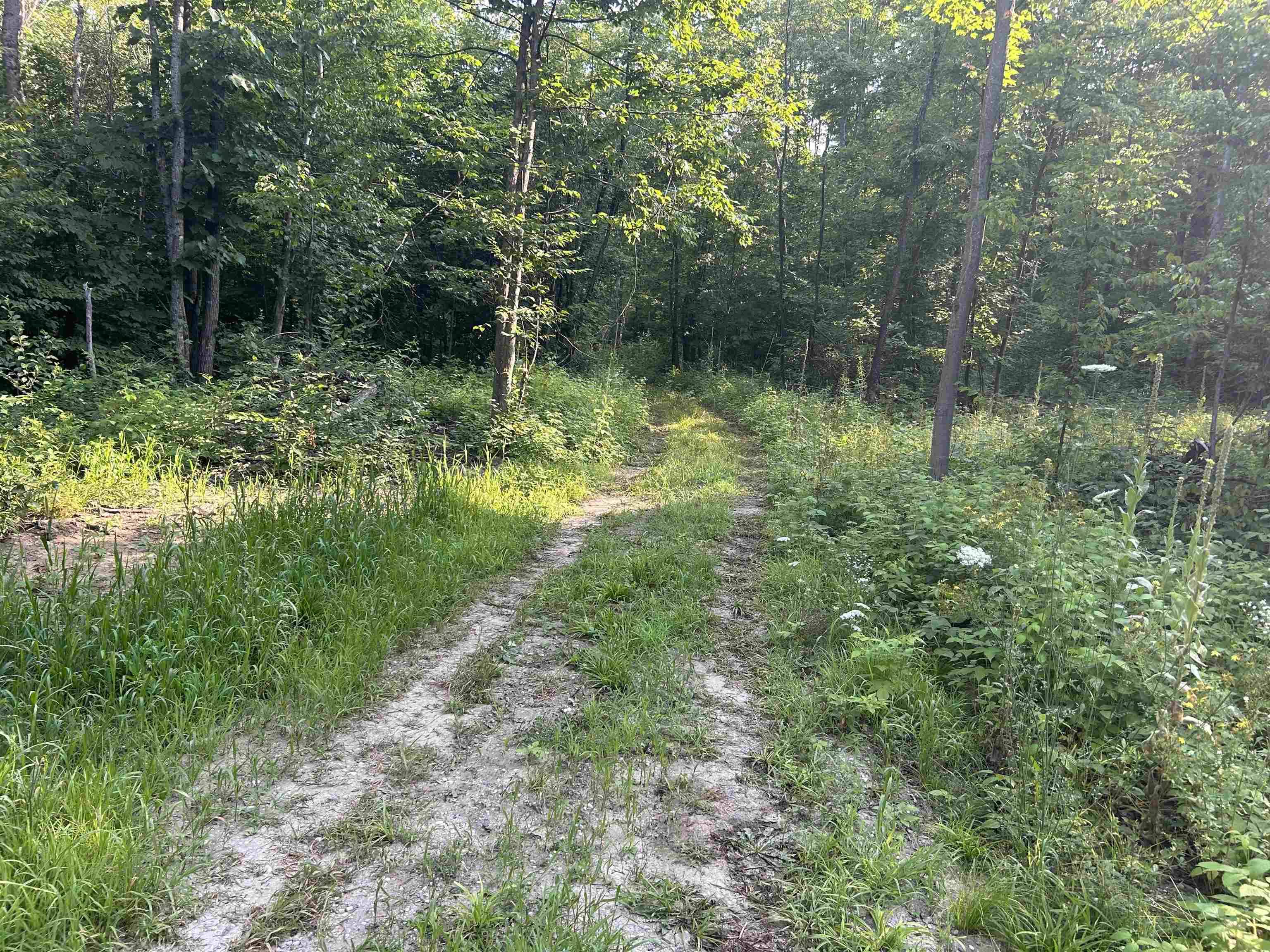 Mancelona, MI 49659,7613 NE Covert RD