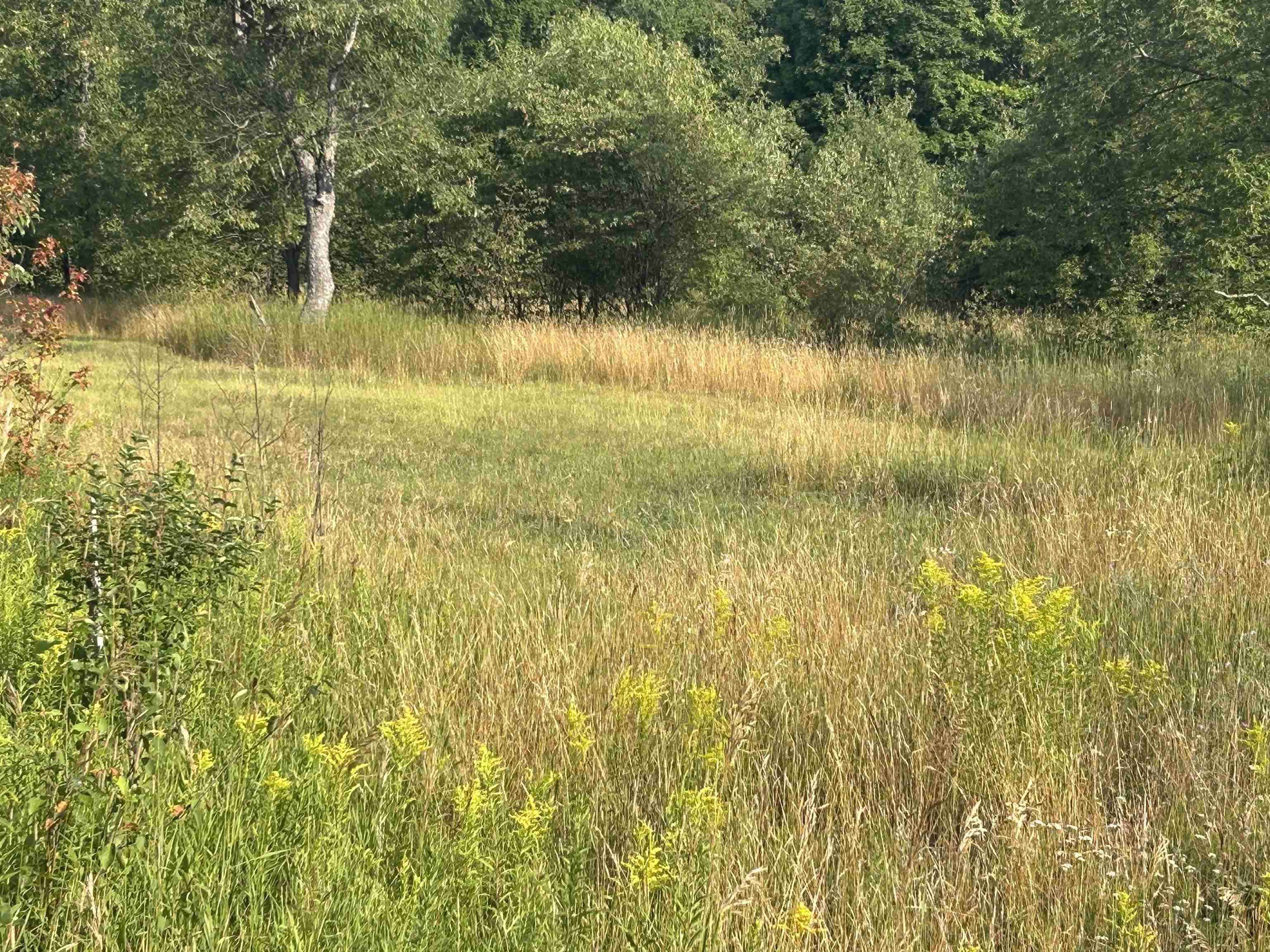 Mancelona, MI 49659,7613 NE Covert RD