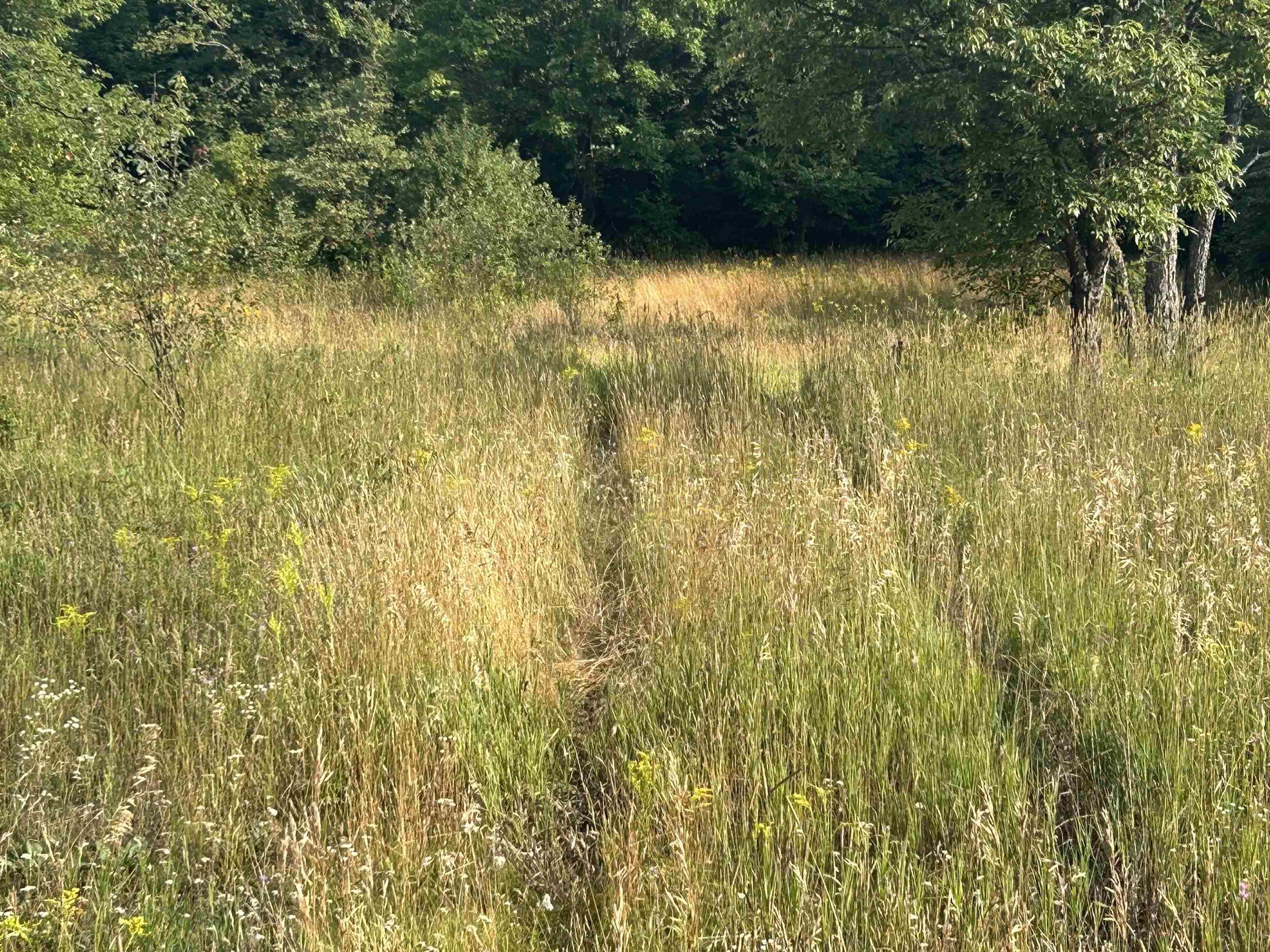 Mancelona, MI 49659,7613 NE Covert RD