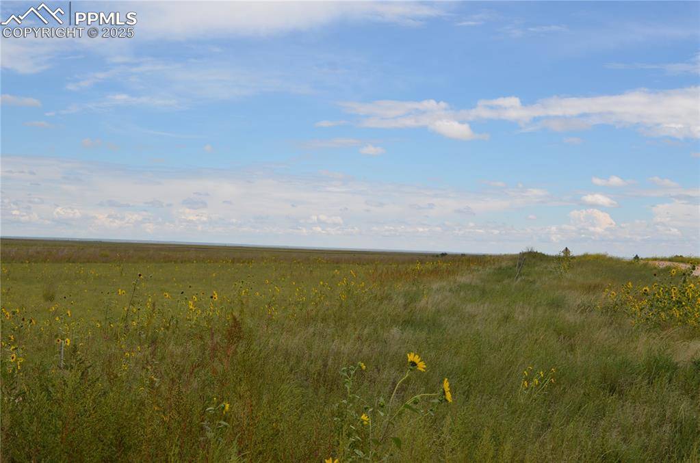 Rush, CO 80833,Parcel 6 County Road 2