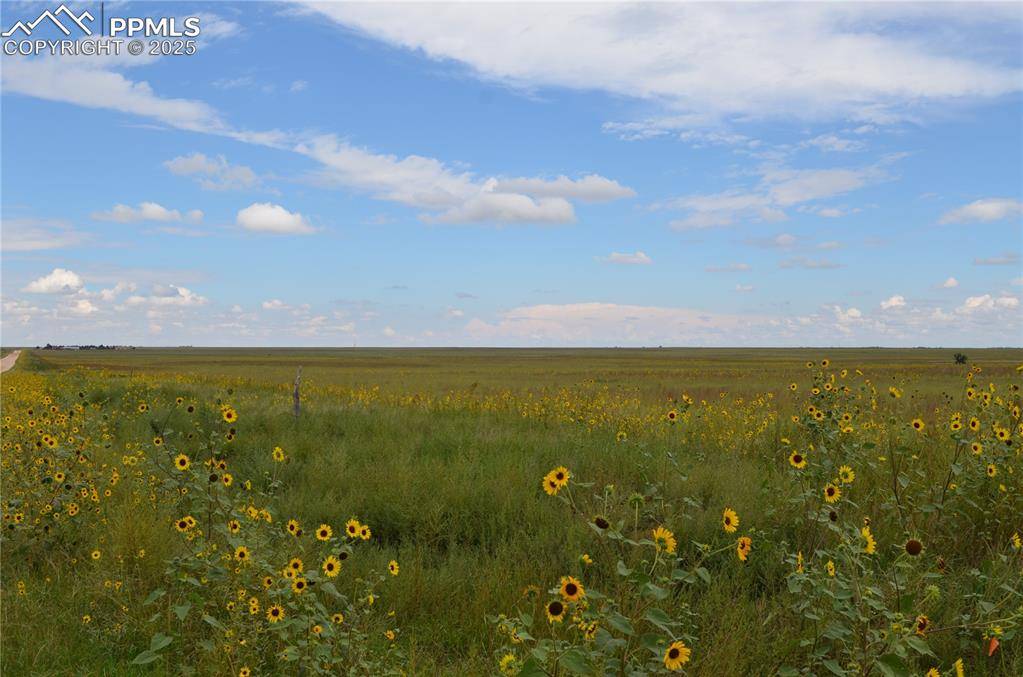 Rush, CO 80833,Parcel 6 County Road 2