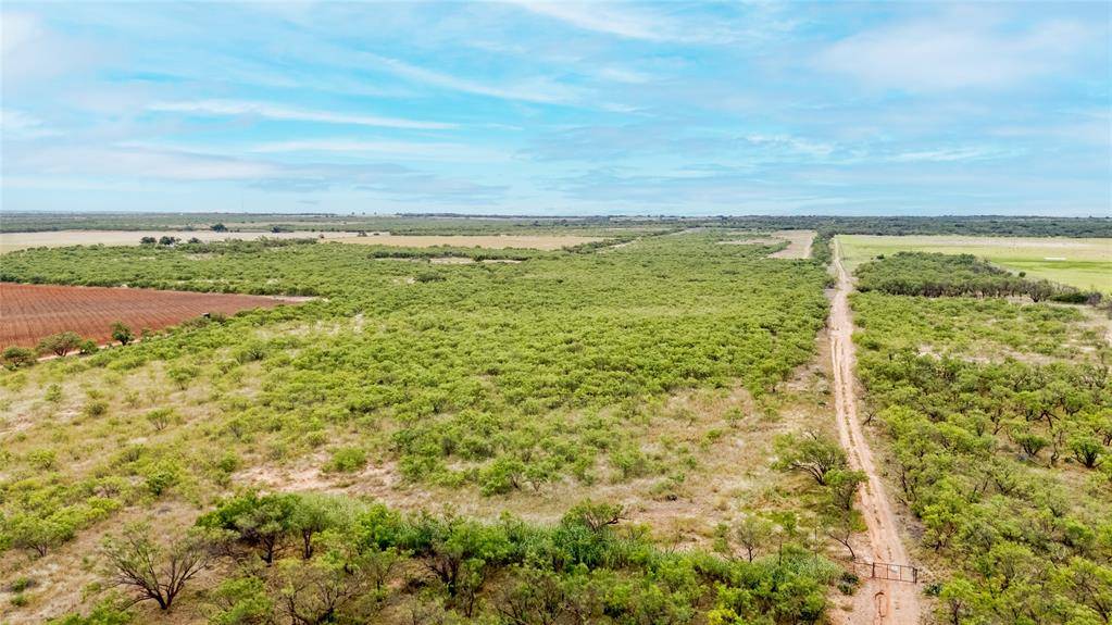 Hamlin, TX 79520,TBD US HWY 180