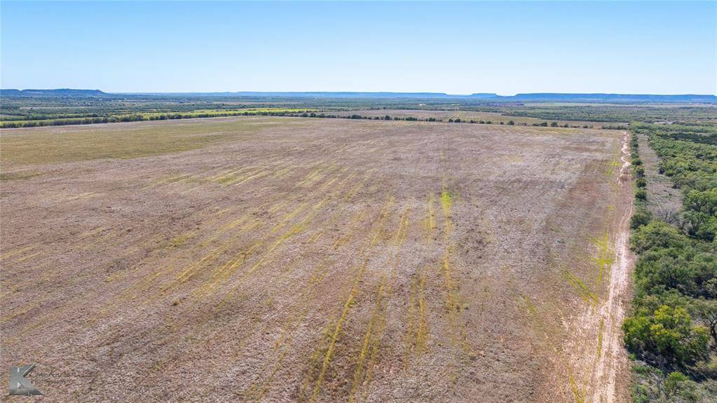 Ovalo, TX 79541,Lot 3 County Road 205