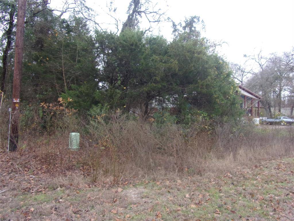 Murchison, TX 75778,tbd E Elm Drive