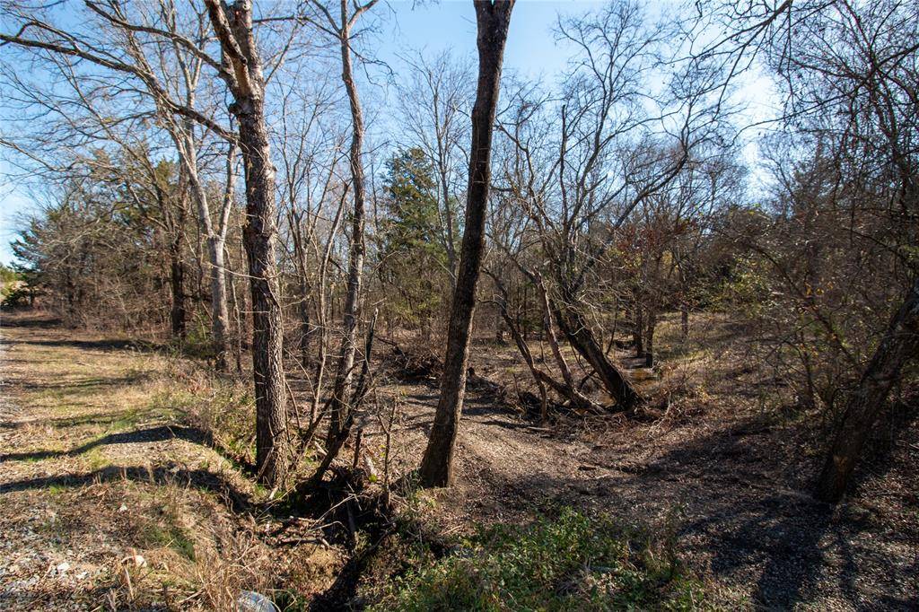 Dodd City, TX 75438,Lot 6 County Road 2905