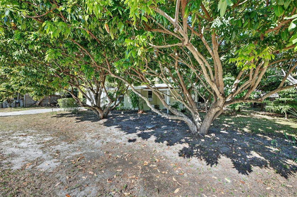 Oakland Park, FL 33309,617 NW 43rd Ct