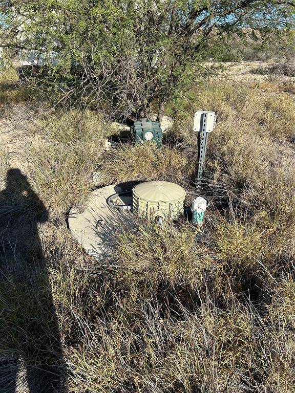 Del Rio, TX 78840,133 BRITE RD