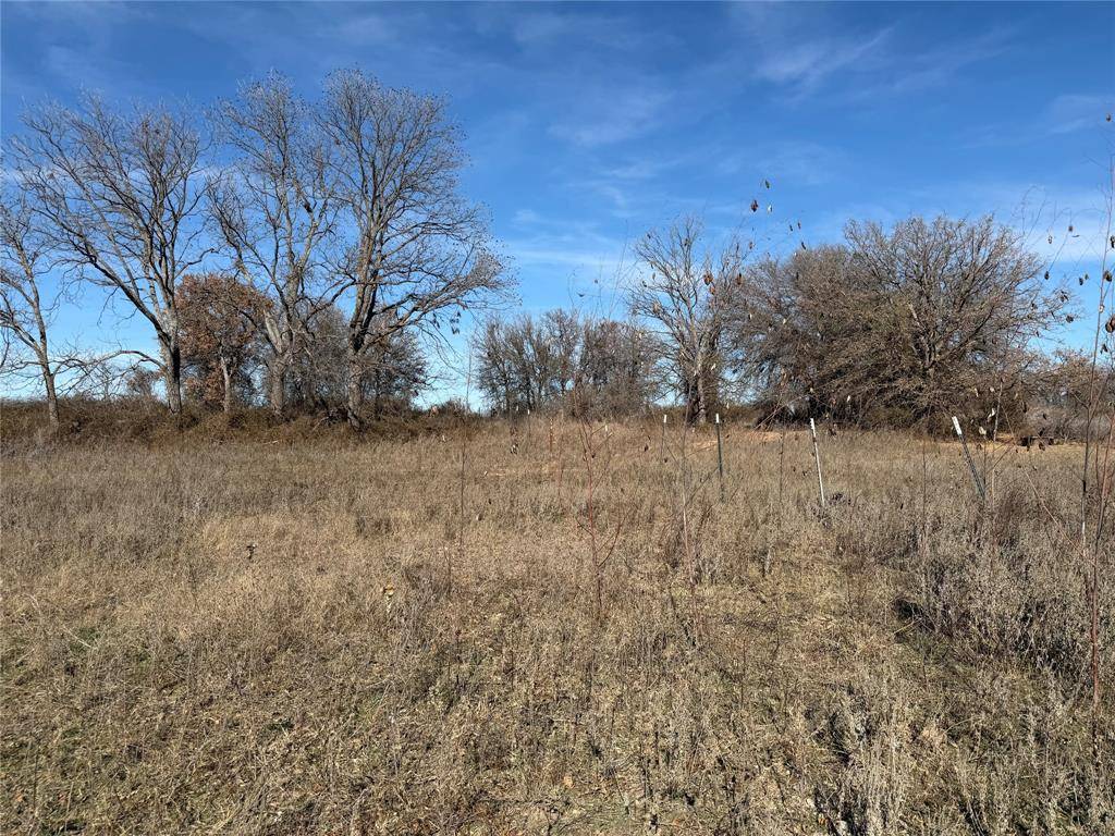 Cross Plains, TX 76443,TBD CR 415