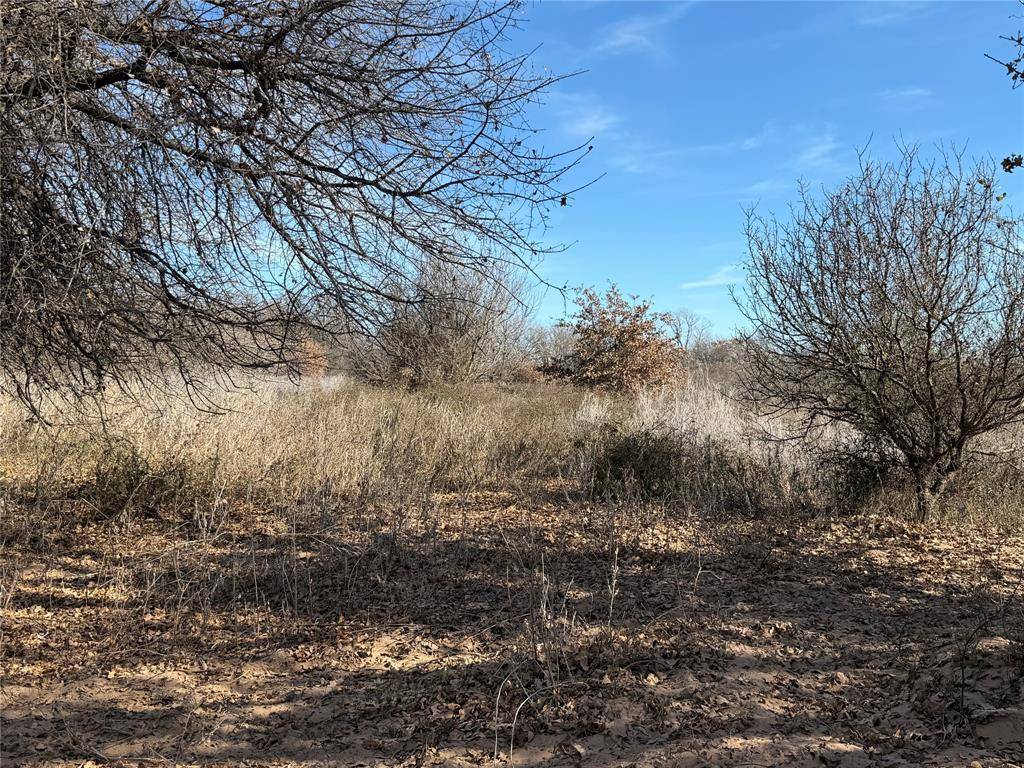 Cross Plains, TX 76443,TBD CR 415