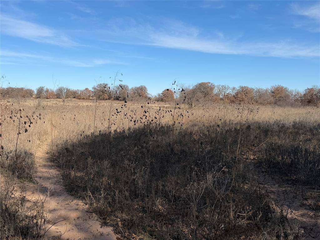 Cross Plains, TX 76443,TBD CR 415