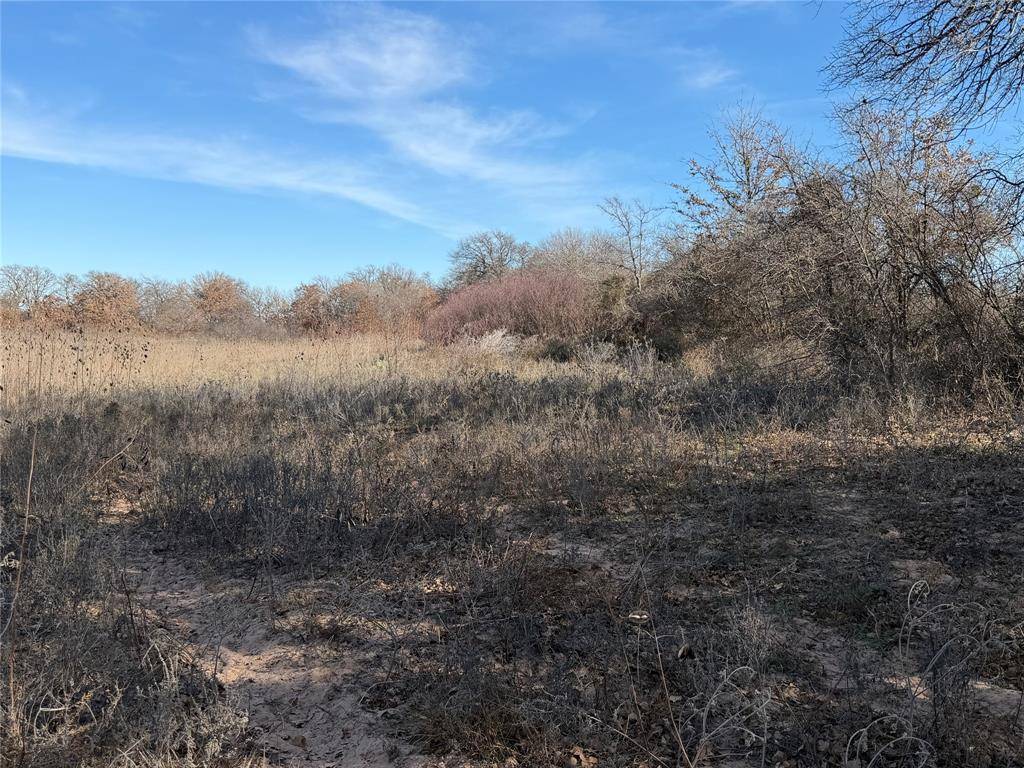 Cross Plains, TX 76443,TBD CR 415