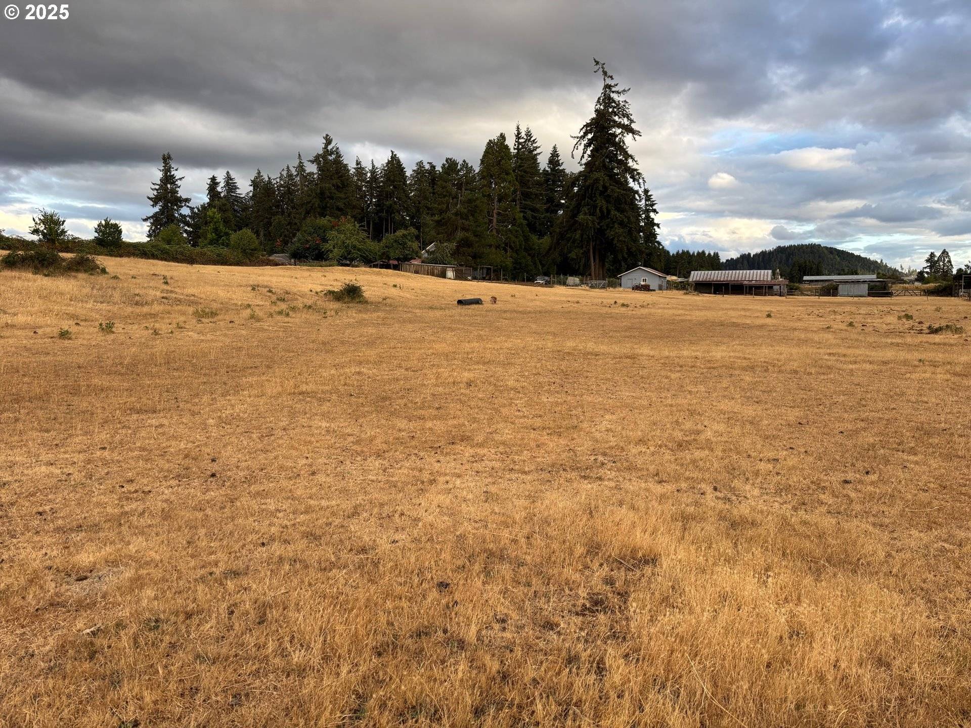 Creswell, OR 97426,33465 IRISH LN