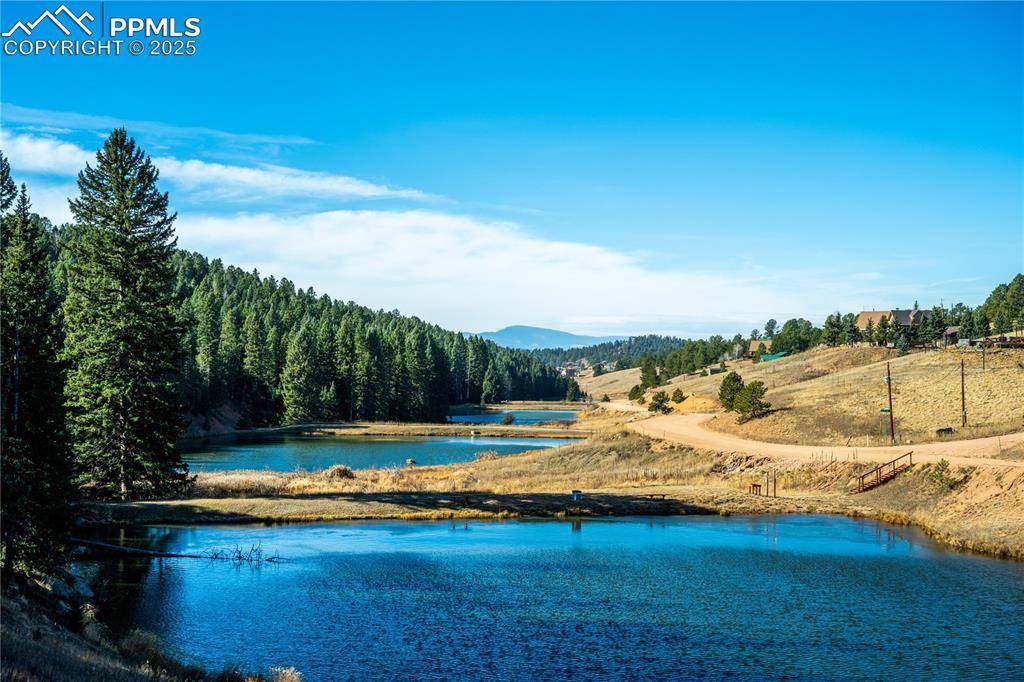 Divide, CO 80814,70 Cheesman Lake CIR