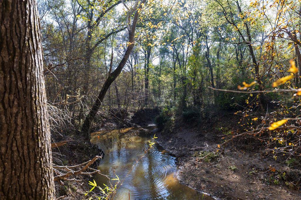 Kennard, TX 75835,000 County Road 1135