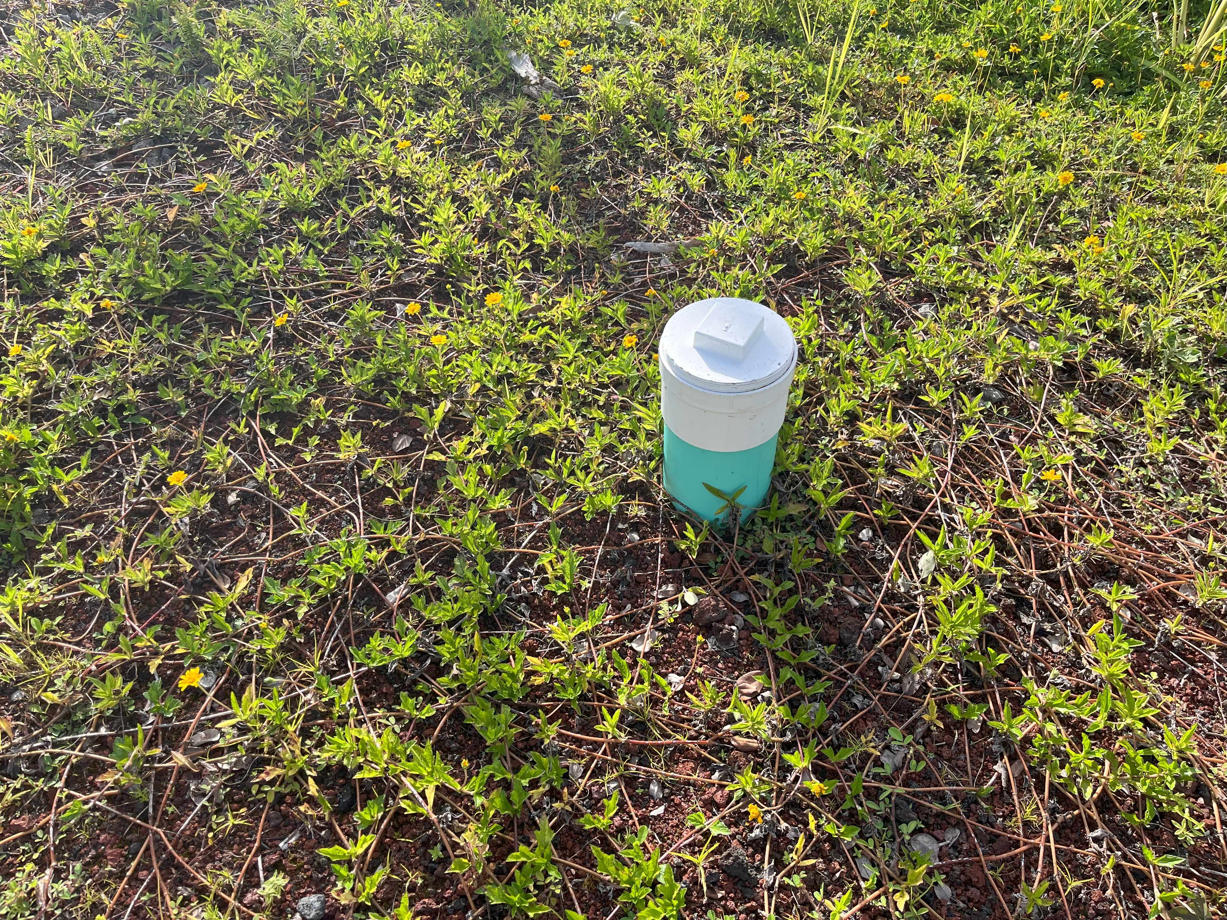 Pahoa, HI 96778,16-2142 ORCHID DR