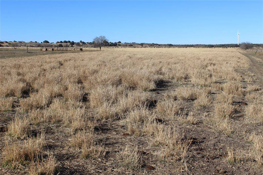 Blanket, TX 76432,0000 County Road 207
