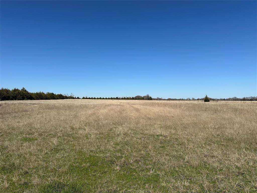 Anna, TX 75409,TBD County Road 513 #Lot 3
