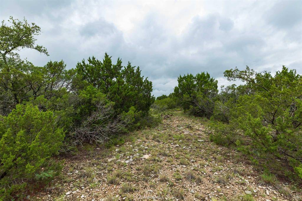 Tuscola, TX 79562,8219 Fm 89