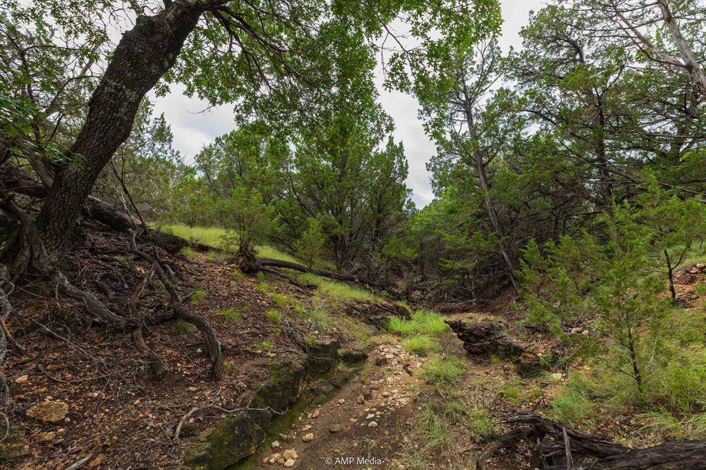 Tuscola, TX 79562,8219 Fm 89