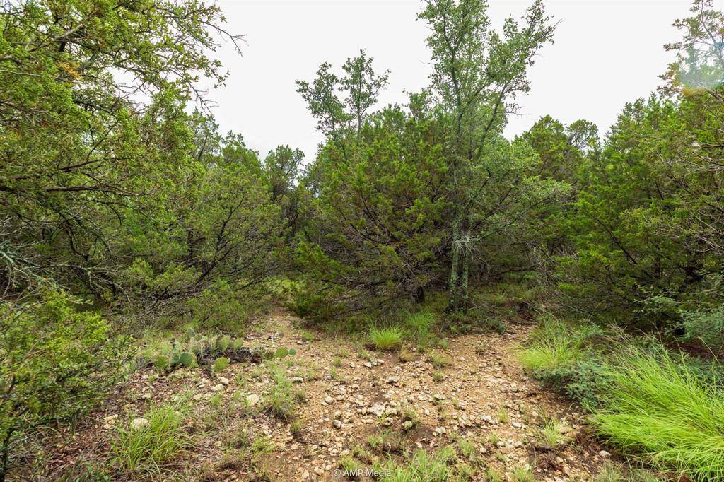 Tuscola, TX 79562,8219 Fm 89