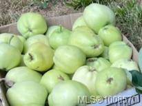 Pender Island, BC V0N 2M0,3708 Starboard Cres