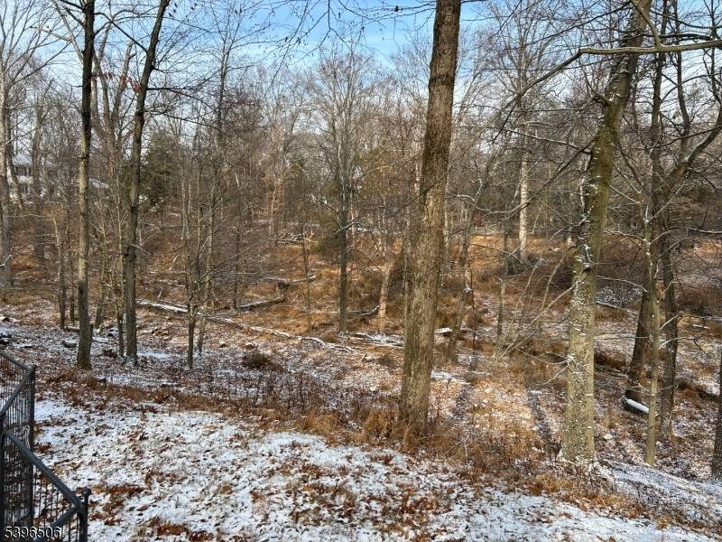 Raritan Twp., NJ 08822,4 Brookside Ter